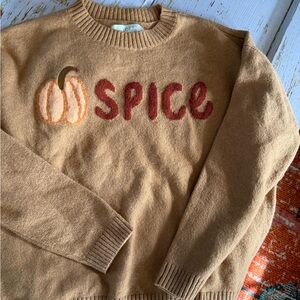 Pumpkin spice sweater size M